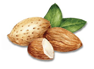 Almonds