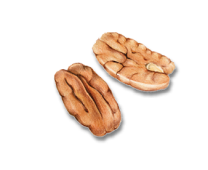 pecans